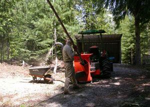 Chipping a small tree